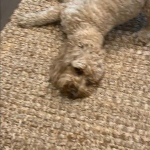 Meet your Posher, Stephen